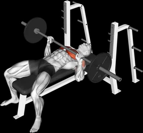 Barbell bench press demo thumbnail