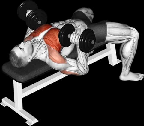 Dumbbell bench press exercise demo thumbnail