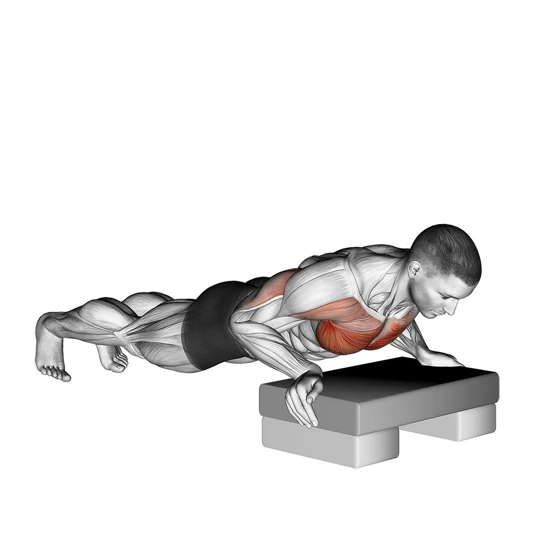 Looping demo of incline push-ups with the working muscles highlighted